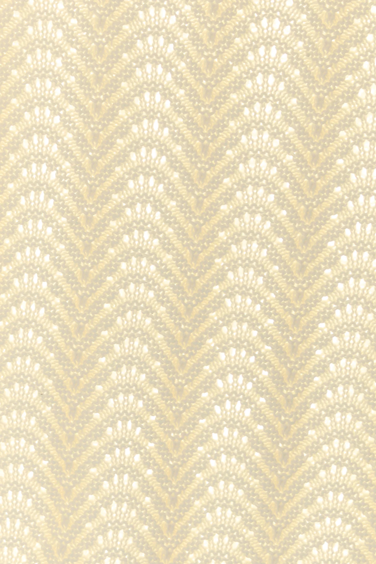 2000017883038_5