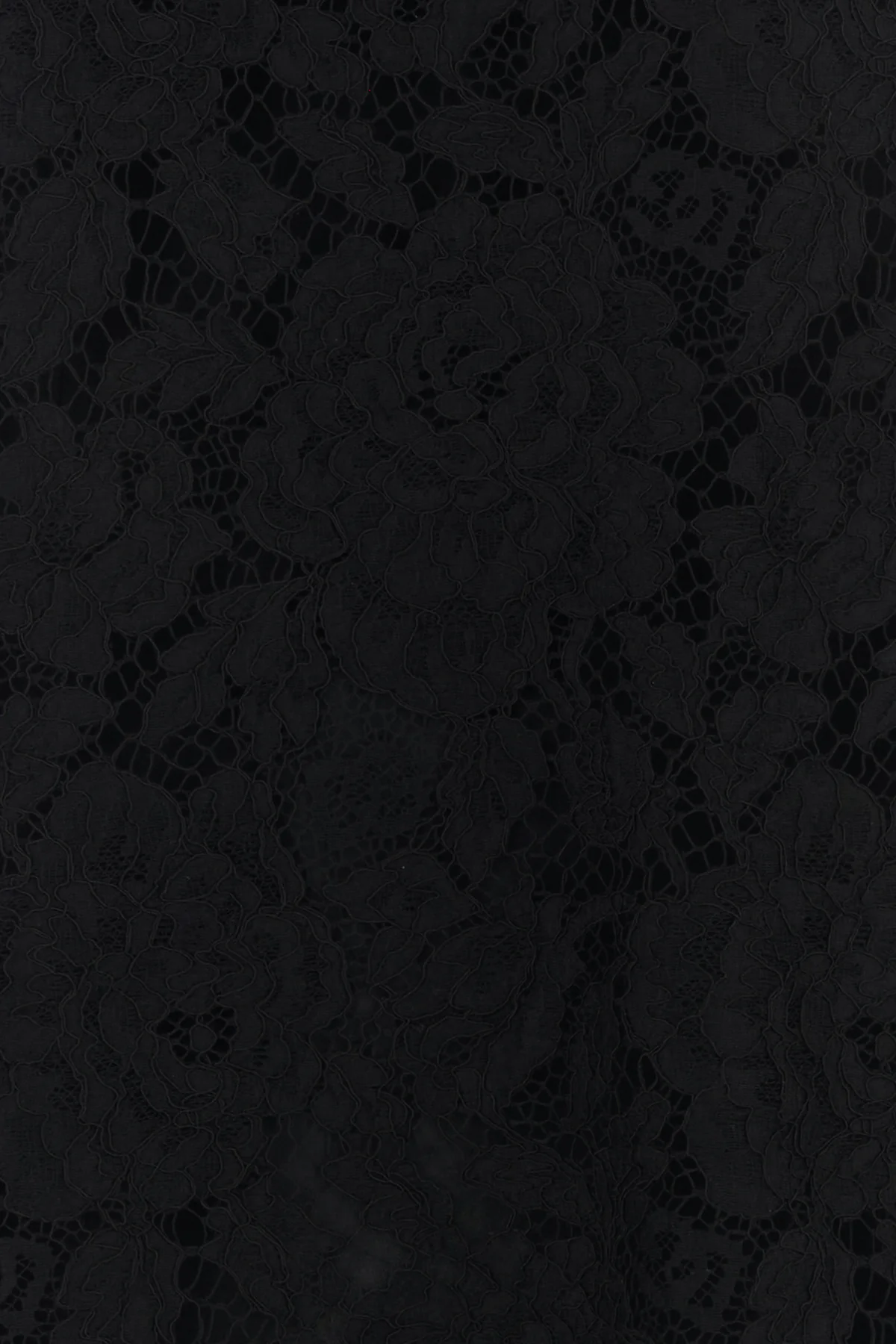 2000018386064_5