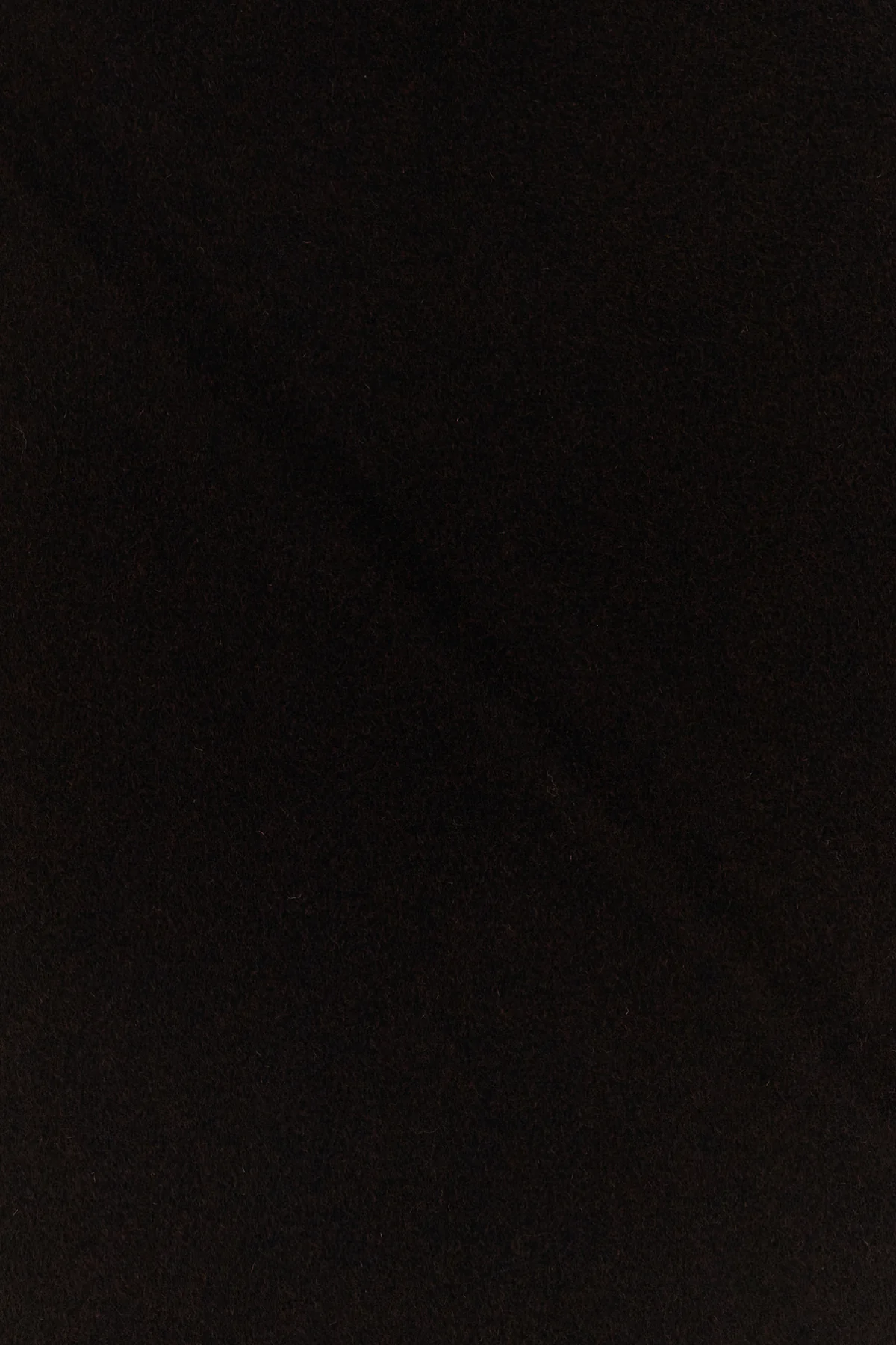 2000020381897_2